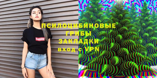 шишки Алексеевка