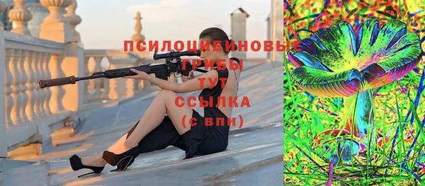 шишки Алексеевка